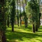 هتل بایا کمر کلاب آنتالیا