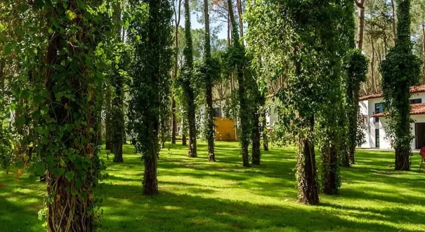 هتل بایا کمر کلاب آنتالیا