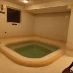 هتل پارک سعدی شیراز