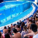  هتل دایما بیز آنتالیا