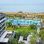 ویج بلک سریق