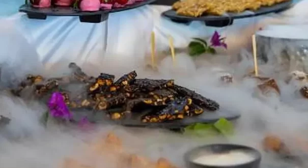 آمون بلک انتالیا
