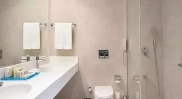  هتل مجستی میراج پارک